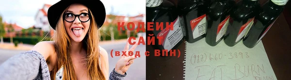 прущие грибы Баксан