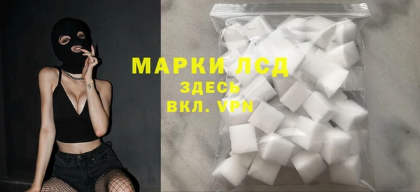прущие грибы Баксан