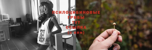 прущие грибы Баксан