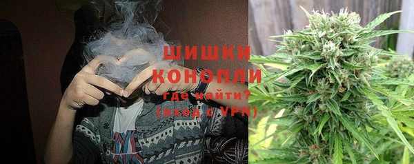 прущие грибы Баксан