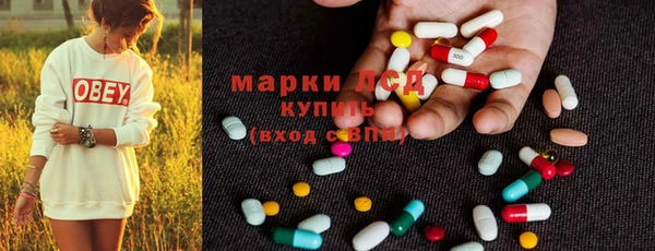 прущие грибы Баксан