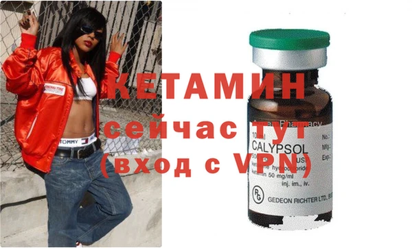 прущие грибы Баксан
