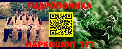 прущие грибы Бийск