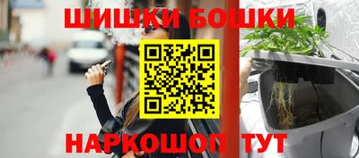 прущие грибы Бийск