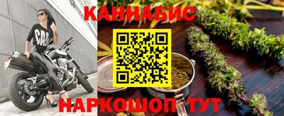 прущие грибы Бийск