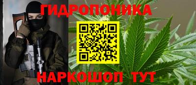 эйфоретик Берёзовский