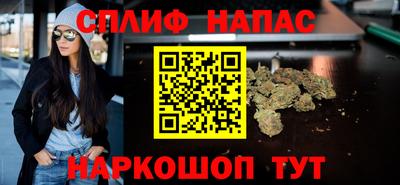 прущие грибы Бийск
