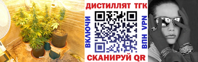 гидра зеркало  Вольск  ТГК вейп с тгк 